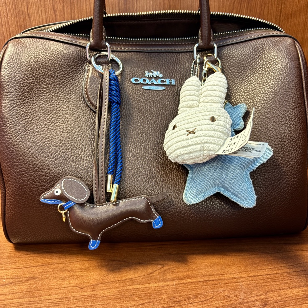 Coach Large Rowan Satchel in Maple